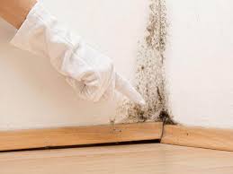 Mold Remediation for Vacation Homes